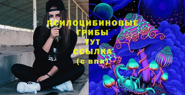 винт Алексин