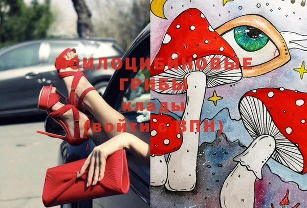 соль ск Алзамай