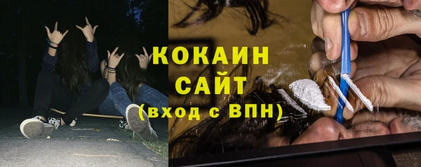 соль ск Алзамай